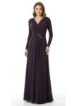 Plum Colour evening gown