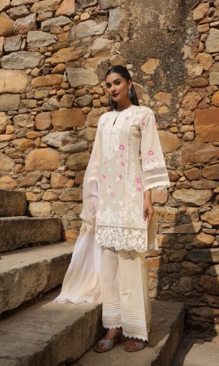 Pakistani-style printed and embroidered suits