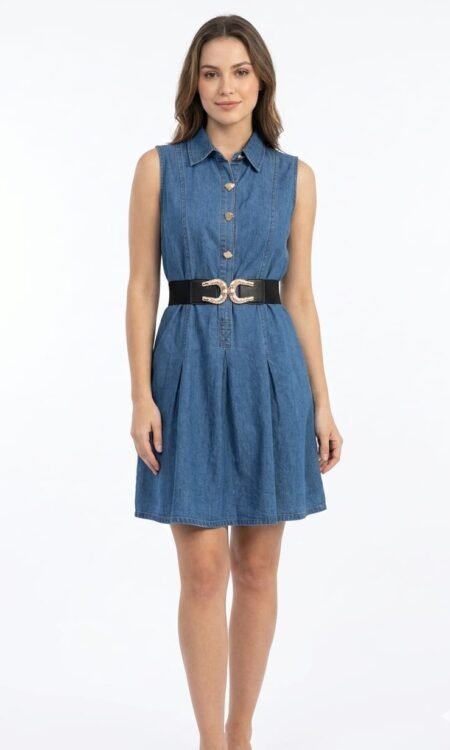 Classic Blue Denim Skater Dress