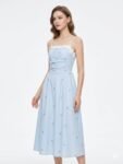 Whimsical Bow-Embroidered Blue Midi